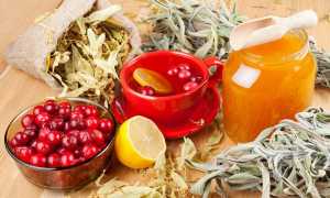 Острый бронхит: лечение антибиотиками и симптоматическими препаратами