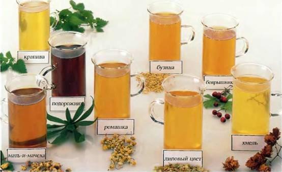 Мокрота при бронхите: ее окрас и способы лечения