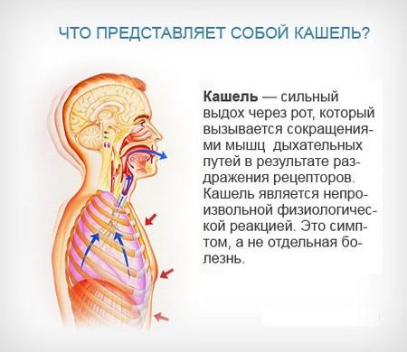 Что такое кашель