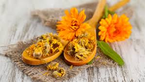 Настой календулы от кашля